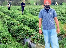 Maninder singh, 34 years old, Man